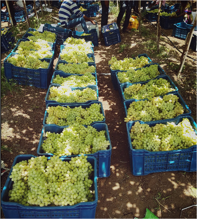 screenshot 2026 01 21 224754