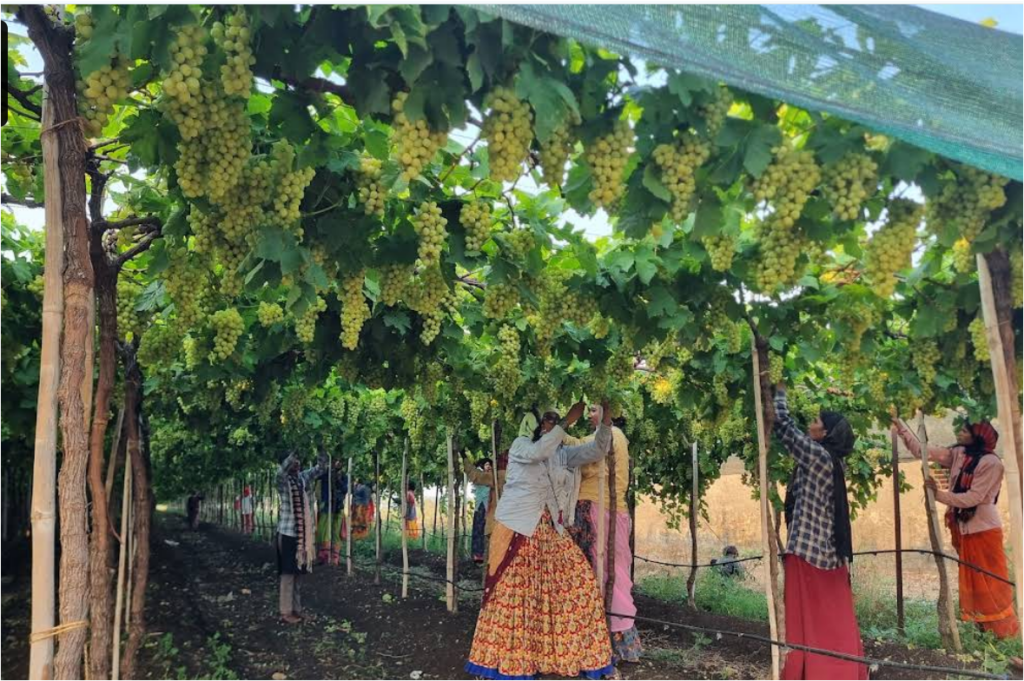 screenshot 2026 01 21 224829